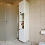 3 Bedroom Pet Friendly In *